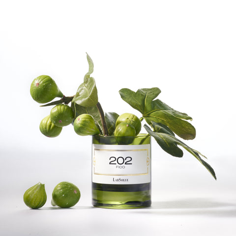 Candle - 202 Fico
