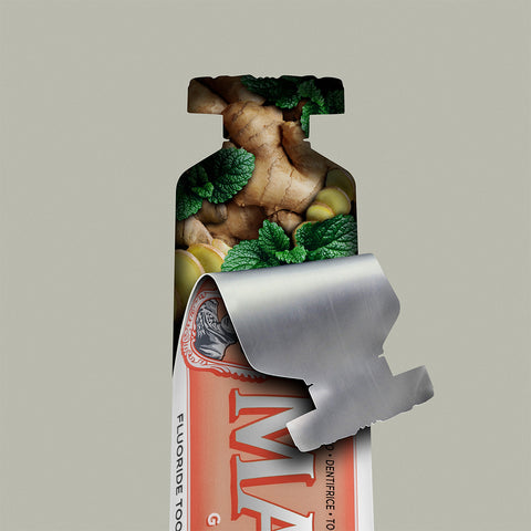MARVIS ジンジャー・ミント 25mL