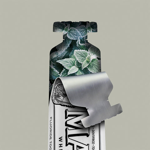 MARVIS ホワイト・ミント 25mL
