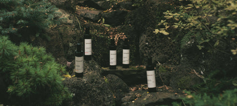 SENSORI＋ AIR DETOXIFYING MIST