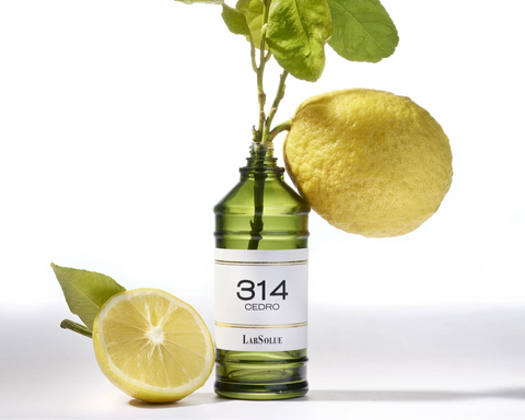 Eau de Parfum - 314 Cedro – UPPER HOUSE Eau de Parfum - 314 Cedro – UPPER HOUSE
