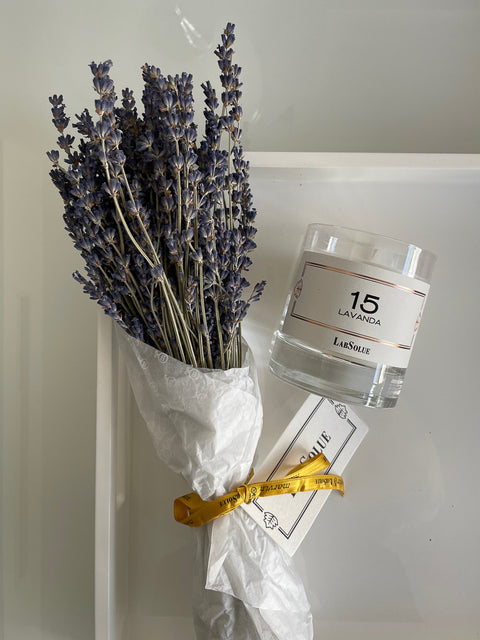 LAVANDA