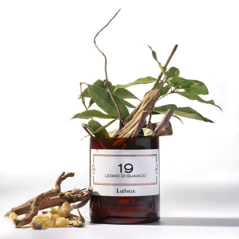 19 - Legno di Guaiaco