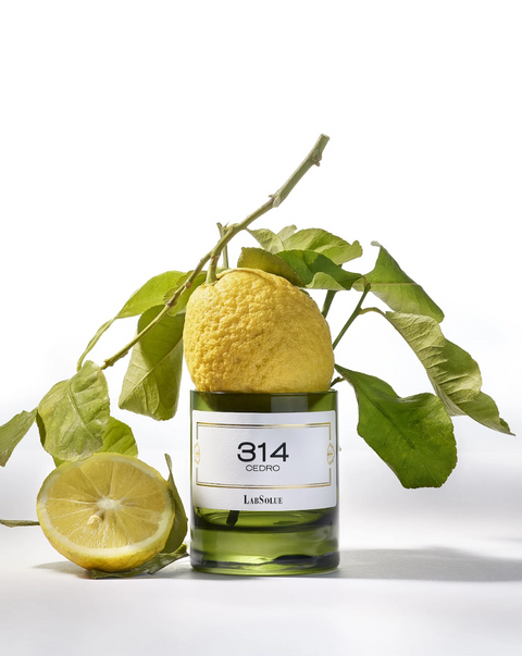Candle - 314 Cedro
